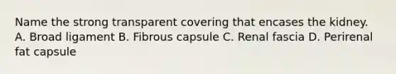 Name the strong transparent covering that encases the kidney. A. Broad ligament B. Fibrous capsule C. Renal fascia D. Perirenal fat capsule