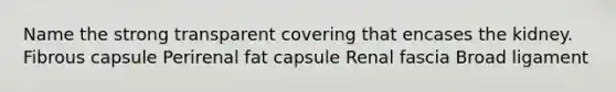 Name the strong transparent covering that encases the kidney. Fibrous capsule Perirenal fat capsule Renal fascia Broad ligament