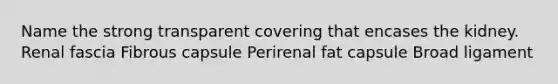 Name the strong transparent covering that encases the kidney. Renal fascia Fibrous capsule Perirenal fat capsule Broad ligament