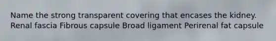 Name the strong transparent covering that encases the kidney. Renal fascia Fibrous capsule Broad ligament Perirenal fat capsule