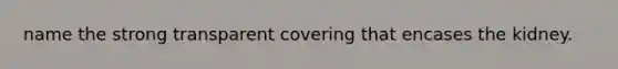 name the strong transparent covering that encases the kidney.