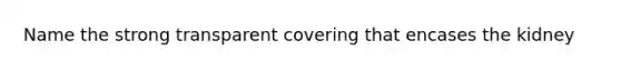 Name the strong transparent covering that encases the kidney