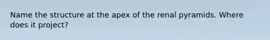 Name the structure at the apex of the renal pyramids. Where does it project?