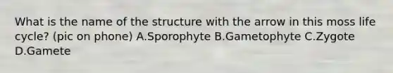 What is the name of the structure with the arrow in this moss life cycle? (pic on phone) A.Sporophyte B.Gametophyte C.Zygote D.Gamete