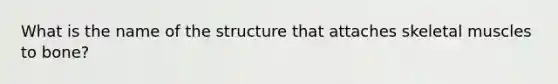 What is the name of the structure that attaches skeletal muscles to bone?