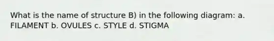 What is the name of structure B) in the following diagram: a. FILAMENT b. OVULES c. STYLE d. STIGMA