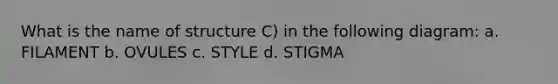 What is the name of structure C) in the following diagram: a. FILAMENT b. OVULES c. STYLE d. STIGMA