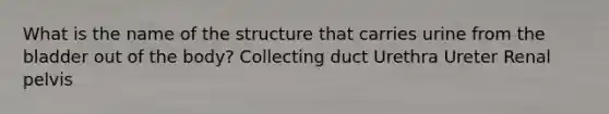 What is the name of the structure that carries urine from the bladder out of the body? Collecting duct Urethra Ureter Renal pelvis