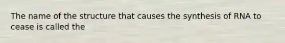 The name of the structure that causes the synthesis of RNA to cease is called the