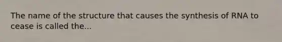 The name of the structure that causes the synthesis of RNA to cease is called the...