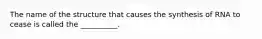 The name of the structure that causes the synthesis of RNA to cease is called the __________.