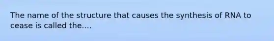 The name of the structure that causes the synthesis of RNA to cease is called the....