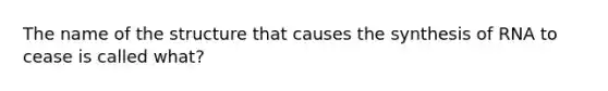 The name of the structure that causes the synthesis of RNA to cease is called what?