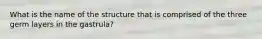 What is the name of the structure that is comprised of the three germ layers in the gastrula?