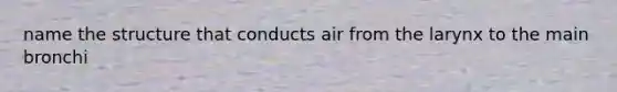 name the structure that conducts air from the larynx to the main bronchi