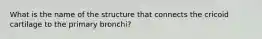 What is the name of the structure that connects the cricoid cartilage to the primary bronchi?