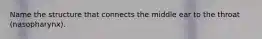 Name the structure that connects the middle ear to the throat (nasopharynx).
