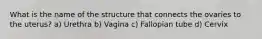 What is the name of the structure that connects the ovaries to the uterus? a) Urethra b) Vagina c) Fallopian tube d) Cervix