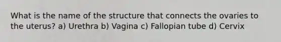 What is the name of the structure that connects the ovaries to the uterus? a) Urethra b) Vagina c) Fallopian tube d) Cervix