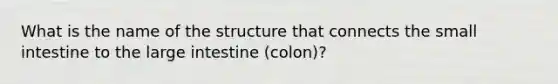 What is the name of the structure that connects the small intestine to the large intestine (colon)?