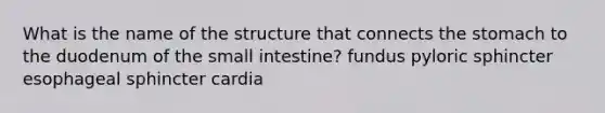 What is the name of the structure that connects the stomach to the duodenum of the small intestine? fundus pyloric sphincter esophageal sphincter cardia