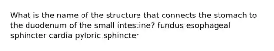 What is the name of the structure that connects the stomach to the duodenum of the small intestine? fundus esophageal sphincter cardia pyloric sphincter