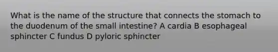 What is the name of the structure that connects the stomach to the duodenum of the small intestine? A cardia B esophageal sphincter C fundus D pyloric sphincter