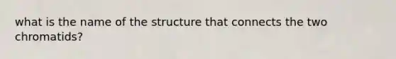 what is the name of the structure that connects the two chromatids?