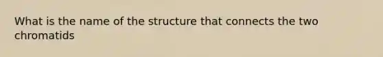 What is the name of the structure that connects the two chromatids