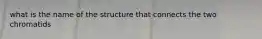 what is the name of the structure that connects the two chromatids