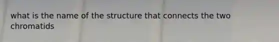 what is the name of the structure that connects the two chromatids