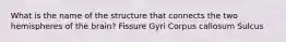 What is the name of the structure that connects the two hemispheres of the brain? Fissure Gyri Corpus callosum Sulcus