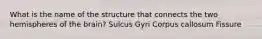 What is the name of the structure that connects the two hemispheres of the brain? Sulcus Gyri Corpus callosum Fissure