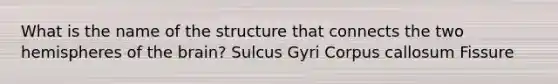 What is the name of the structure that connects the two hemispheres of the brain? Sulcus Gyri Corpus callosum Fissure