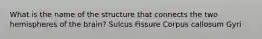 What is the name of the structure that connects the two hemispheres of the brain? Sulcus Fissure Corpus callosum Gyri