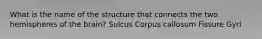 What is the name of the structure that connects the two hemispheres of the brain? Sulcus Corpus callosum Fissure Gyri