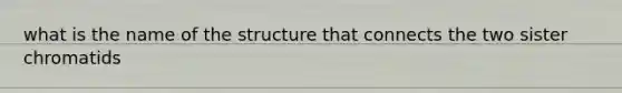 what is the name of the structure that connects the two sister chromatids