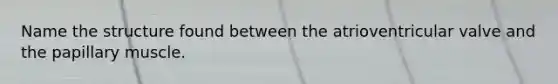 Name the structure found between the atrioventricular valve and the papillary muscle.