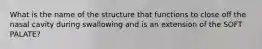 What is the name of the structure that functions to close off the nasal cavity during swallowing and is an extension of the SOFT PALATE?