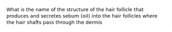 What is the name of the structure of the hair follicle that produces and secretes sebum (oil) into the hair follicles where the hair shafts pass through the dermis