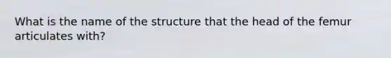 What is the name of the structure that the head of the femur articulates with?