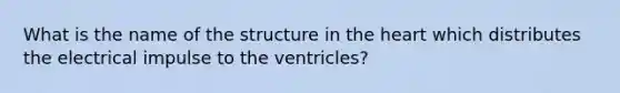 What is the name of the structure in the heart which distributes the electrical impulse to the ventricles?