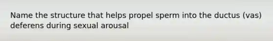 Name the structure that helps propel sperm into the ductus (vas) deferens during sexual arousal