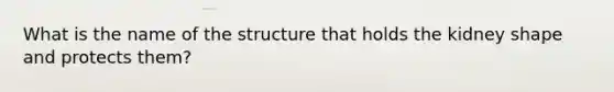 What is the name of the structure that holds the kidney shape and protects them?