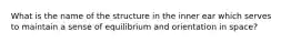 What is the name of the structure in the inner ear which serves to maintain a sense of equilibrium and orientation in space?