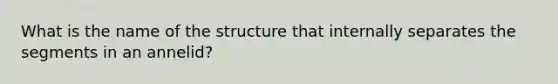 What is the name of the structure that internally separates the segments in an annelid?