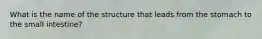 What is the name of the structure that leads from the stomach to the small intestine?