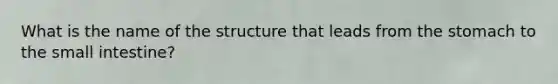 What is the name of the structure that leads from the stomach to the small intestine?