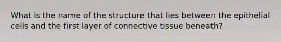 What is the name of the structure that lies between the epithelial cells and the first layer of connective tissue beneath?