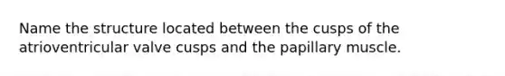 Name the structure located between the cusps of the atrioventricular valve cusps and the papillary muscle.